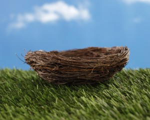 bigstock-Empty-nest-on-green-grass-44741620